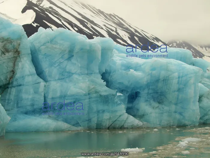  : Iceberg. Liefdefjorden - Svalbard - Norway