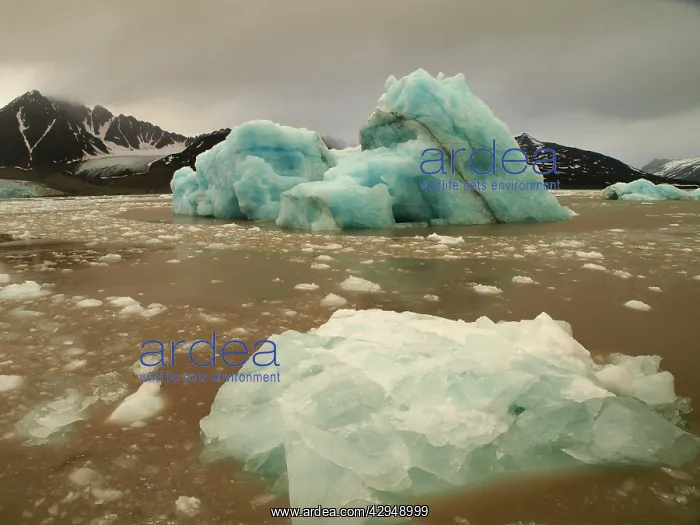  : Iceberg. Liefdefjorden - Svalbard - Norway
