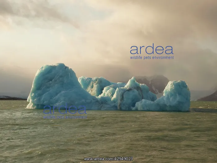  : Iceberg. Liefdefjorden - Svalbard - Norway