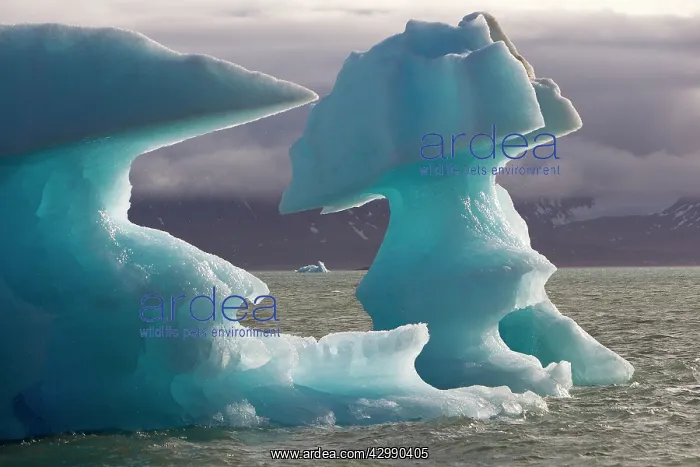 : Iceberg. Lilliehook, Krossfjorden, Spitzbergern, Svalbard, Norway : Iceberg. Lilliehook, Krossfjorden, Spitzbergern, Svalbard, Norway