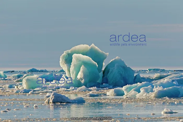 : Iceberg. Nordaustlandet, Spitzbergern, Svalbard, Norway : Iceberg. Nordaustlandet, Spitzbergern, Svalbard, Norway