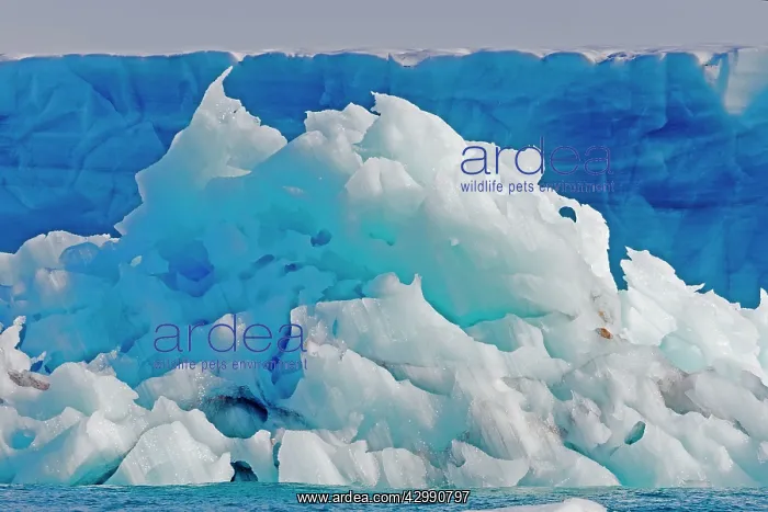 : Iceberg. Nordaustlandet, Spitzbergern, Svalbard, Norway : Iceberg. Nordaustlandet, Spitzbergern, Svalbard, Norway