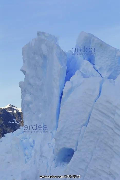 : Iceberg, Alaska : Iceberg, Alaska