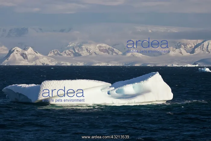 : Iceberg, Antarctica : Iceberg, Antarctica