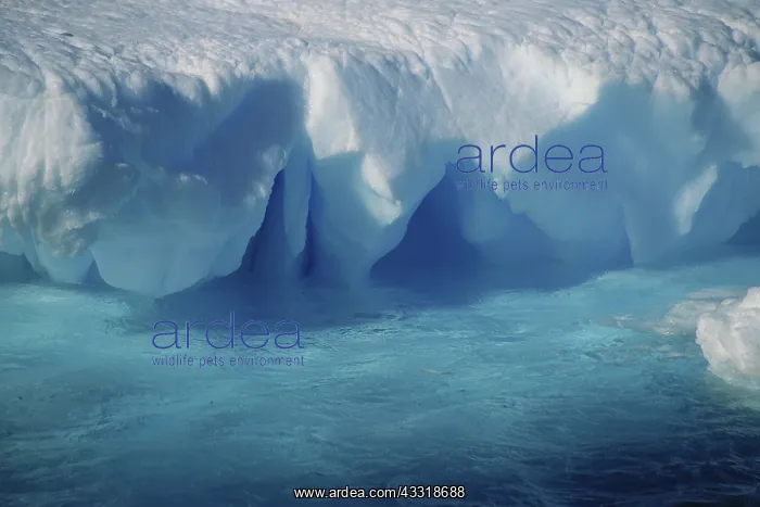 : Iceberg, Antarctica : Iceberg, Antarctica