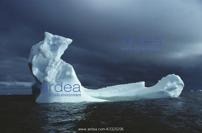 : Iceberg, Antarctica : Iceberg, Antarctica