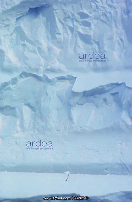: Iceberg, Antarctica : Iceberg, Antarctica