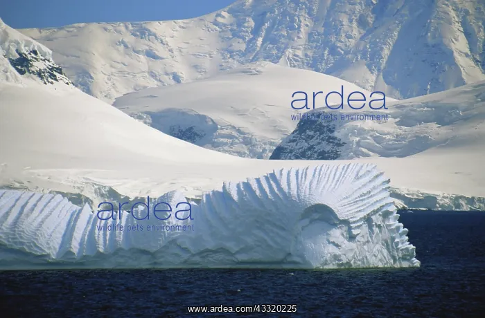 : Iceberg, Antarctica : Iceberg, Antarctica