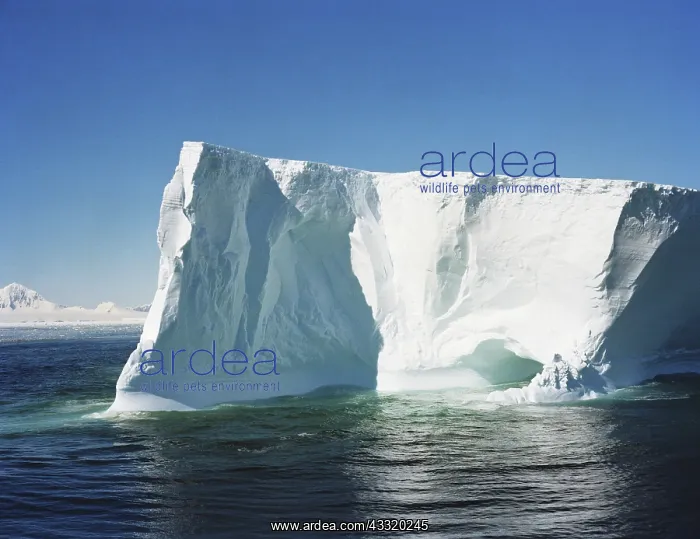 : Iceberg, Antarctica : Iceberg, Antarctica