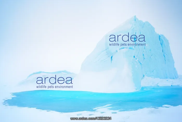 : Iceberg in Baffin Bay : Iceberg in Baffin Bay