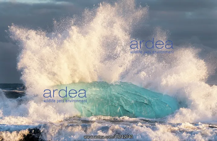 : Iceberg on black volcanic beach. North Atlantic : Iceberg on black volcanic beach. North Atlantic