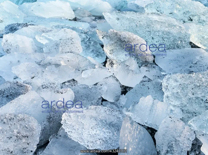 : Iceberg on black volcanic beach. North Atlantic : Iceberg on black volcanic beach. North Atlantic