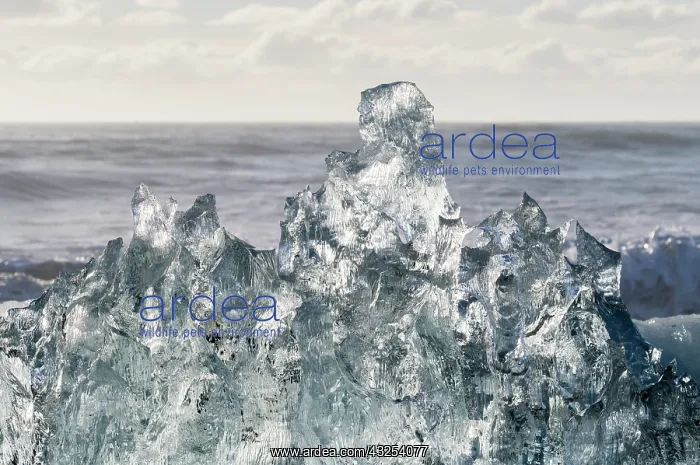 : Iceberg on black volcanic beach. North Atlantic : Iceberg on black volcanic beach. North Atlantic
