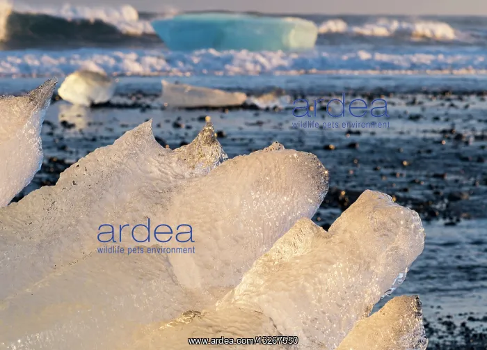 : Iceberg on black volcanic beach. North Atlantic : Iceberg on black volcanic beach. North Atlantic