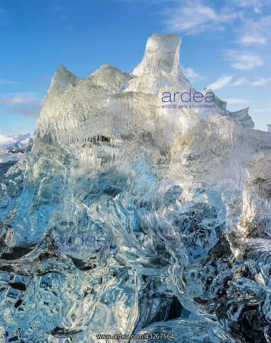 : Iceberg on black volcanic beach. North Atlantic : Iceberg on black volcanic beach. North Atlantic