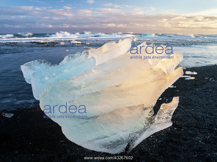 : Iceberg on black volcanic beach. North Atlantic : Iceberg on black volcanic beach. North Atlantic