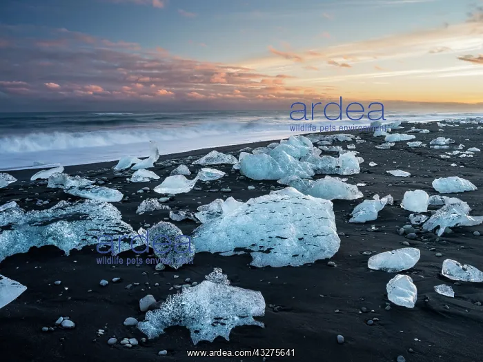 : Iceberg on black volcanic beach. North Atlantic : Iceberg on black volcanic beach. North Atlantic
