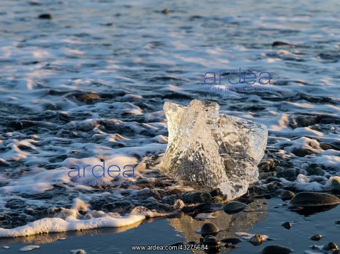 : Iceberg on black volcanic beach. North Atlantic : Iceberg on black volcanic beach. North Atlantic