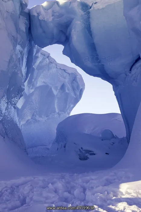 : Iceberg, blue ice, detail, Baffin Island, Davis : Iceberg, blue ice, detail, Baffin Island, Davis