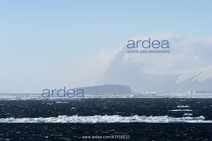 : Iceberg in front of Cape Adare : Iceberg in front of Cape Adare