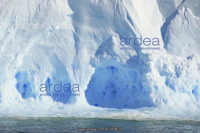 : Iceberg Design, Antarctica : Iceberg Design, Antarctica