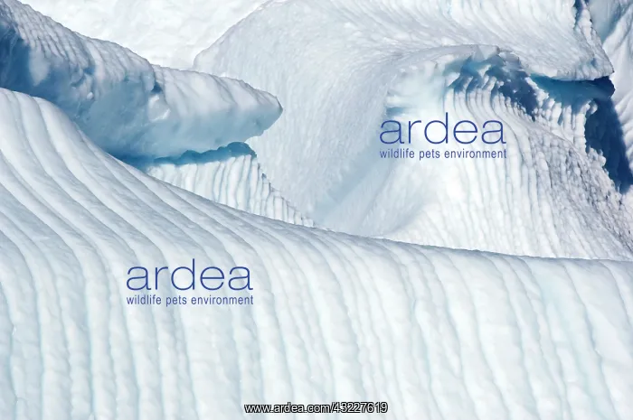 : Iceberg detail, Uummunnaq, Greenland : Iceberg detail, Uummunnaq, Greenland