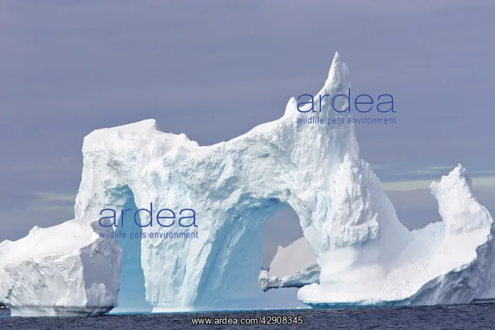 : Iceberg - double arch : Iceberg - double arch
