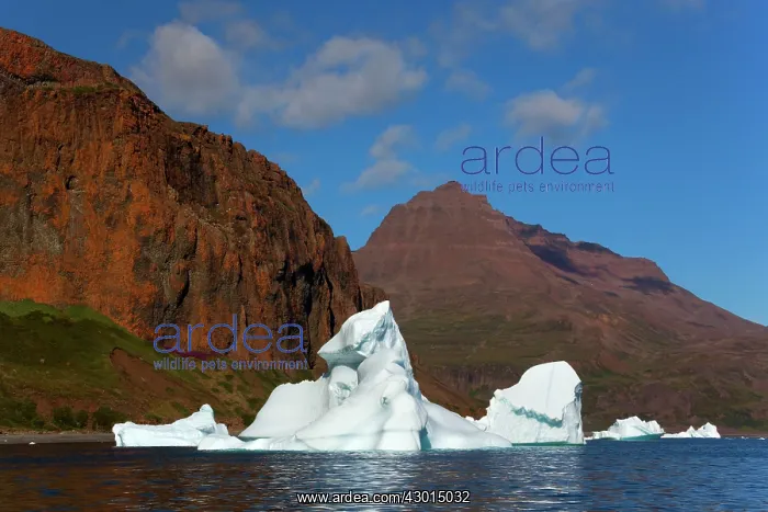 : Iceberg drifting in front of coastline Arctic ocean Summer : Iceberg drifting in front of coastline Arctic ocean Summer