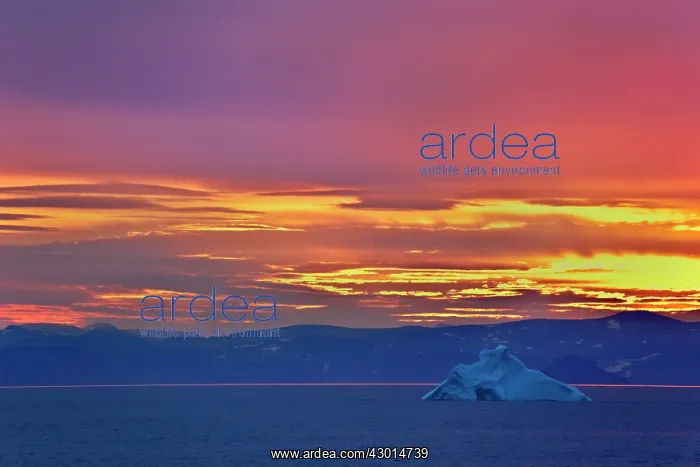 : Iceberg floating icebergs in arctic ocean : Iceberg floating icebergs in arctic ocean