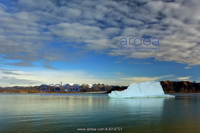: Iceberg floating icebergs in arctic ocean : Iceberg floating icebergs in arctic ocean
