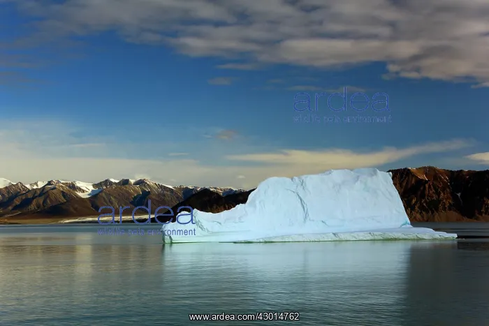 : Iceberg floating icebergs in arctic ocean : Iceberg floating icebergs in arctic ocean