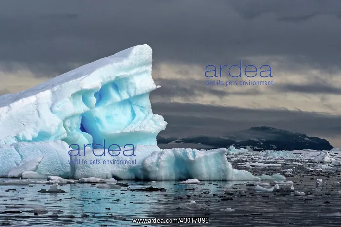  : Iceberg floating at sea