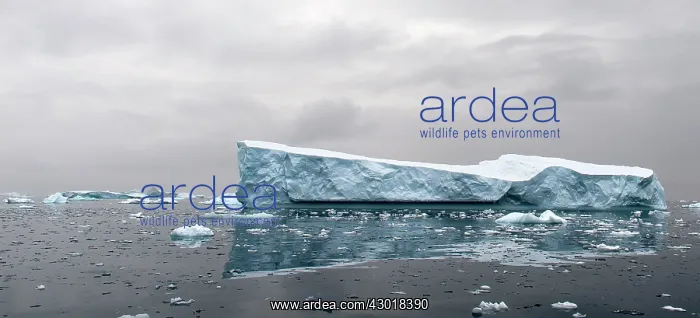  : Iceberg floating in the sea