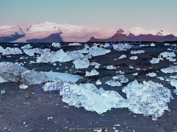 : Iceberg formation on the beach at Jokulsarlon : Iceberg formation on the beach at Jokulsarlon