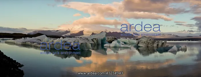: Iceberg formations broken off from the Breidamerkurjokull : Iceberg formations broken off from the Breidamerkurjokull