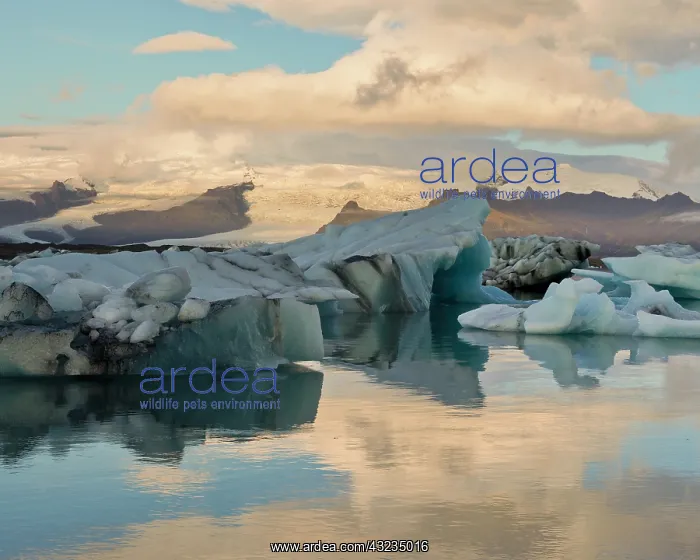 : Iceberg formations broken off from the Breidamerkurjokull : Iceberg formations broken off from the Breidamerkurjokull