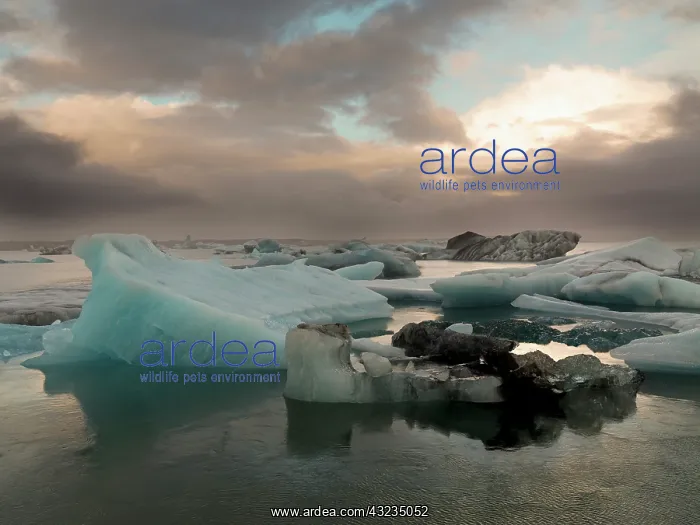 : Iceberg formations broken off from the Breidamerkurjokull : Iceberg formations broken off from the Breidamerkurjokull