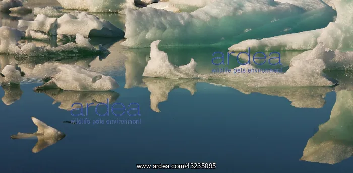 : Iceberg formations broken off from the Breidamerkurjokull : Iceberg formations broken off from the Breidamerkurjokull