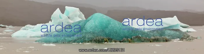 : Iceberg formations broken off from the Breidamerkurjokull : Iceberg formations broken off from the Breidamerkurjokull