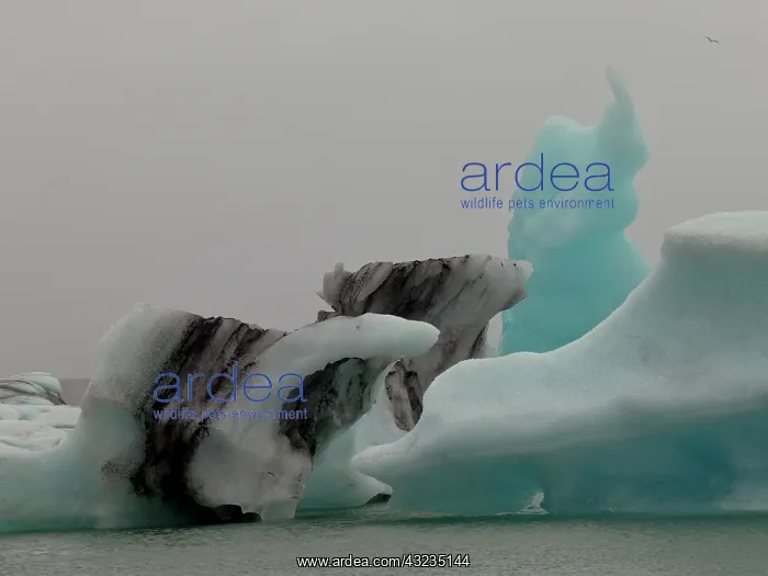 : Iceberg formations broken off from the Breidamerkurjokull : Iceberg formations broken off from the Breidamerkurjokull
