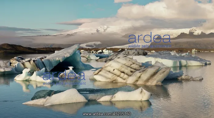 : Iceberg formations broken off from the Breidamerkurjokull : Iceberg formations broken off from the Breidamerkurjokull