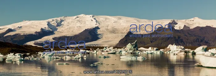 : Iceberg formations broken off from the Breidamerkurjokull : Iceberg formations broken off from the Breidamerkurjokull