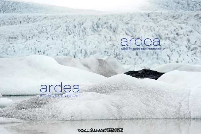 : Iceberg formations in the Fjalls rlnn glacier : Iceberg formations in the Fjalls rlnn glacier