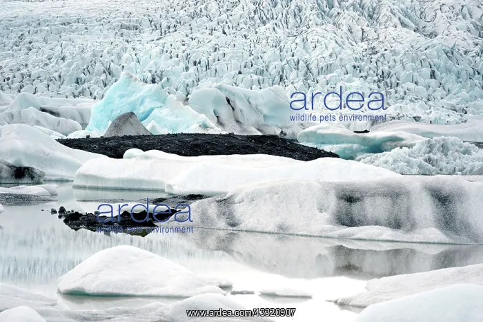 : Iceberg formations in the Fjalls rlnn glacier : Iceberg formations in the Fjalls rlnn glacier