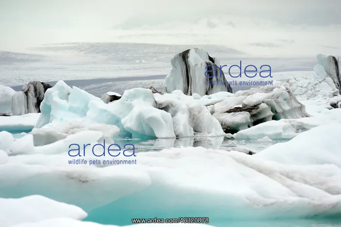 : Iceberg formations in the Jokulsarlon glacier lagoon : Iceberg formations in the Jokulsarlon glacier lagoon