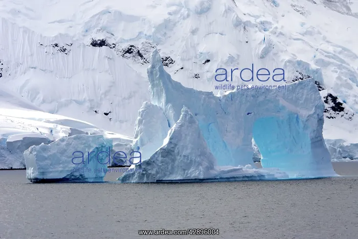 : Iceberg in the Gerlache strait : Iceberg in the Gerlache strait
