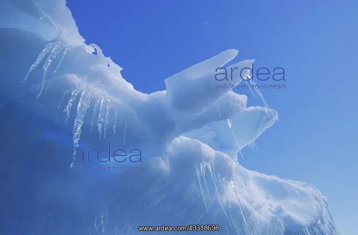 : Iceberg with Icicles : Iceberg with Icicles