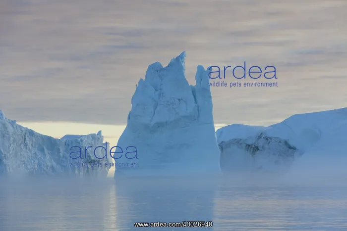  : Iceberg - Ilulissat Icefjord - Greenland