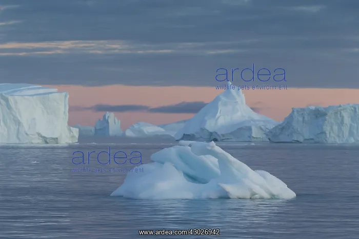  : Iceberg - Ilulissat Icefjord - Greenland