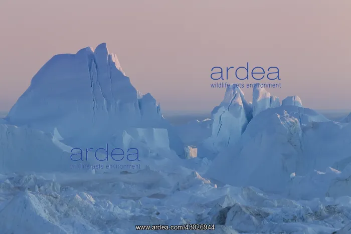  : Iceberg - Ilulissat Icefjord - Greenland